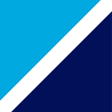 Bluefin block logo